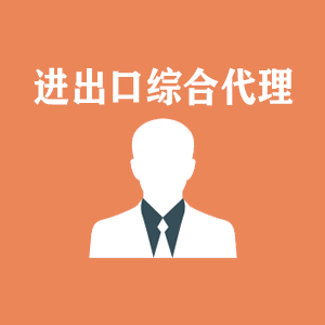 广东进出口综合代理